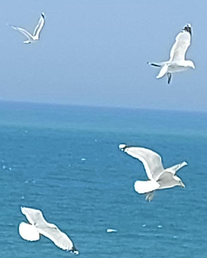 Le Paradis Bleu Bosville المظهر الخارجي الصورة