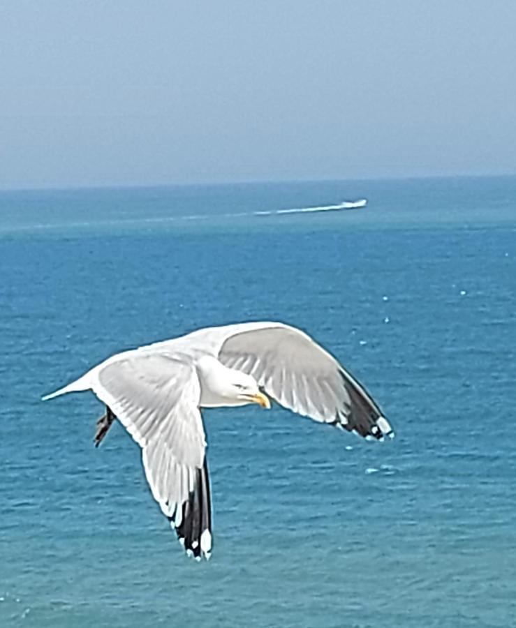 Le Paradis Bleu Bosville المظهر الخارجي الصورة