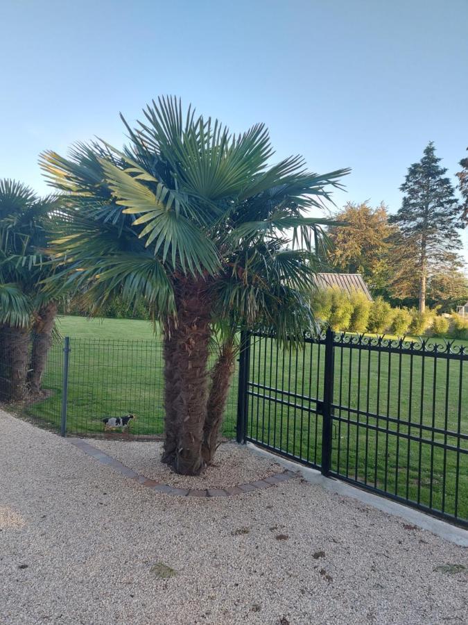 Le Paradis Bleu Bosville المظهر الخارجي الصورة